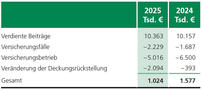 Rückversicherungssaldo