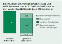 Eigenkapital, Schwankungsrückstellung und stille Reserven