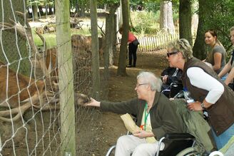 Social Active Day 2013